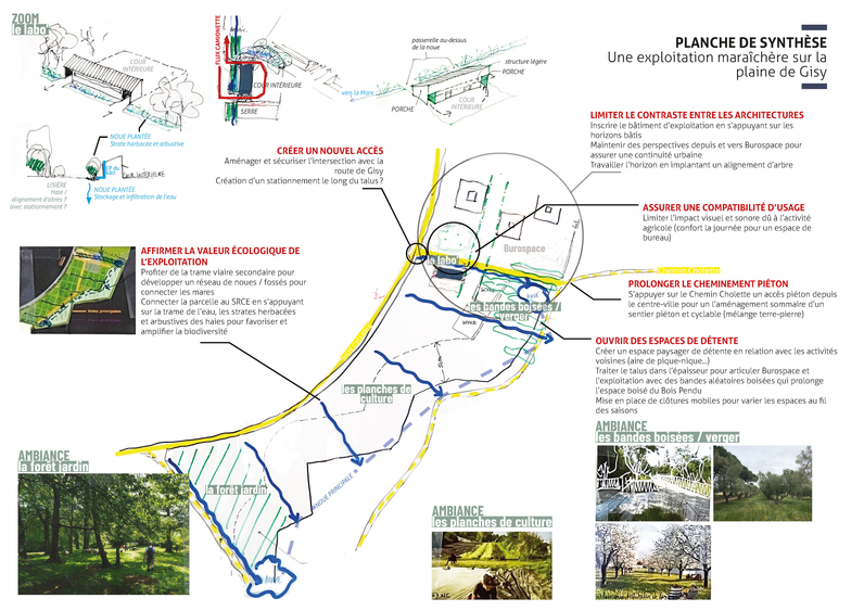 Planche de synthèse présentant une exploitation maraîchère sur la plaine de Gisy. Action menée en 2020 et 2021.