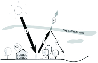 Atelier pédagogique : Sensibilisation aux enjeux environnementaux